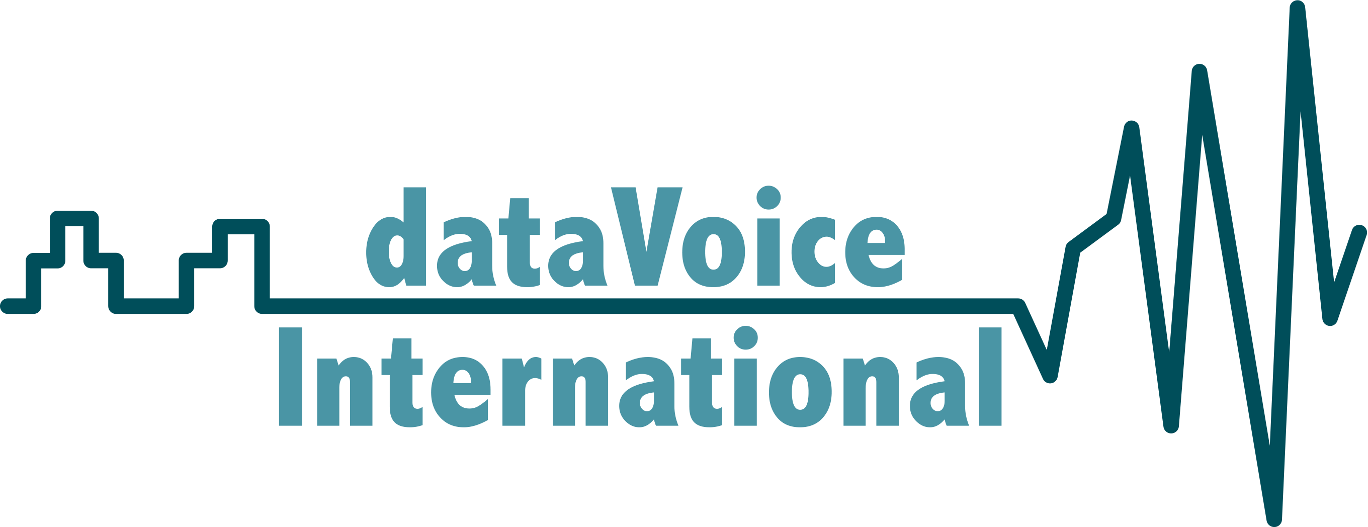 HU-Data-Voice-International-LOGO